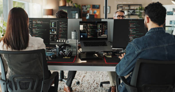 Estructura organizativa en empresas de software