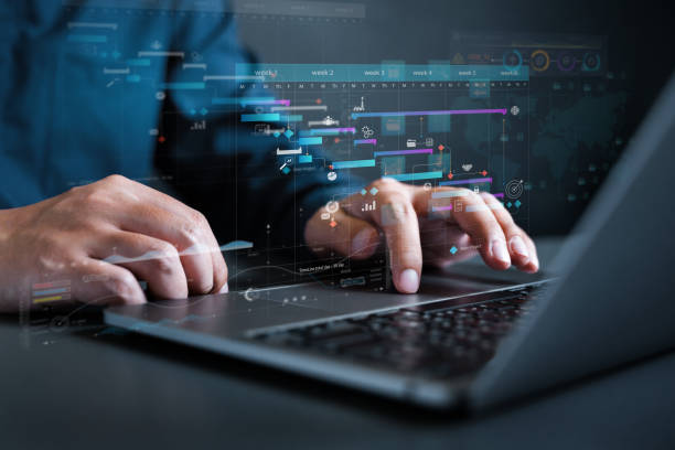 Estructura organizativa en una empresa de software